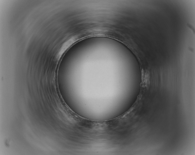 X0000103490099200809261959