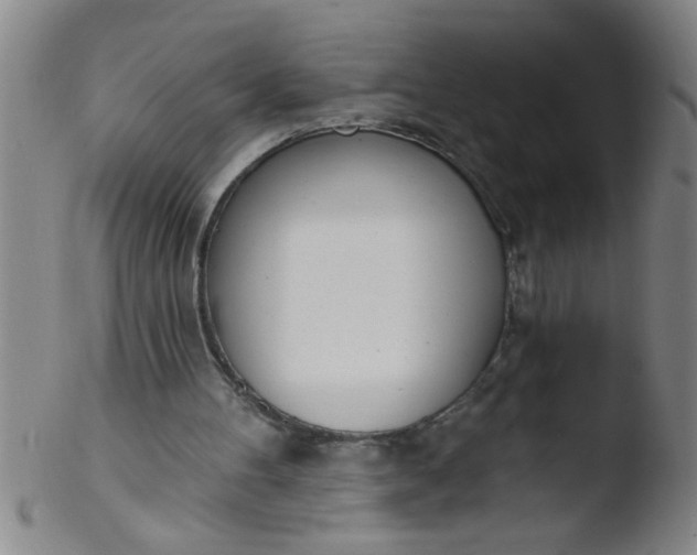 X0000103490100200809261959