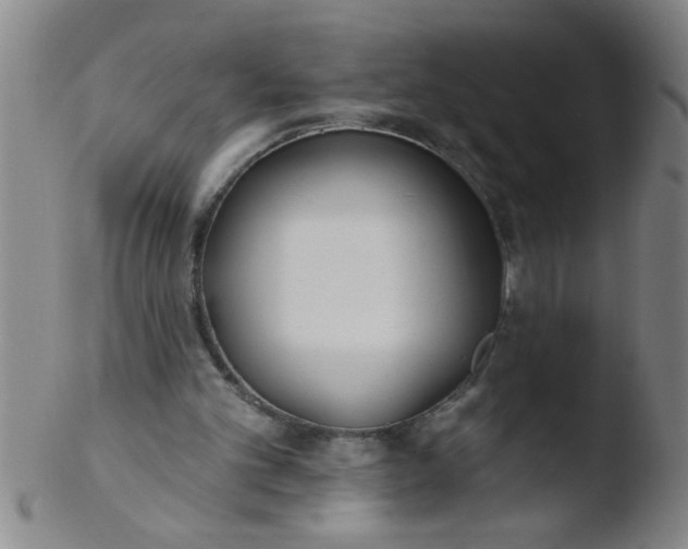 X0000103490101200809261959