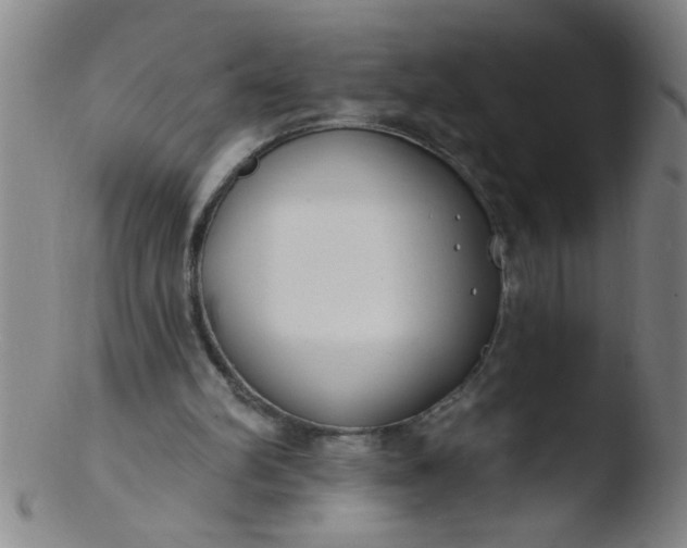 X0000103490102200809261959