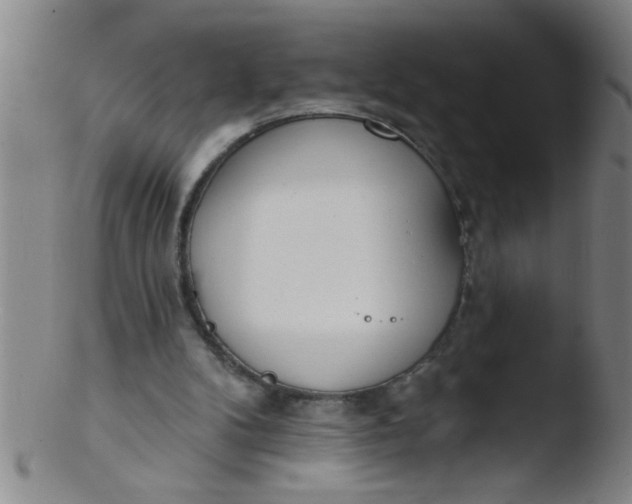 X0000103490104200809261959