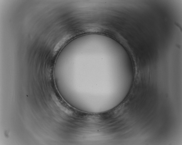 X0000103490106200809261959