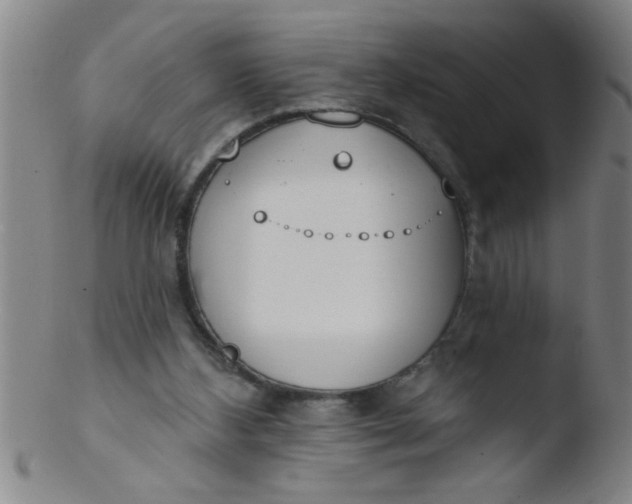 X0000103490108200809261959