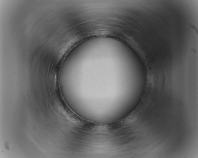 X0000103490110200809261959