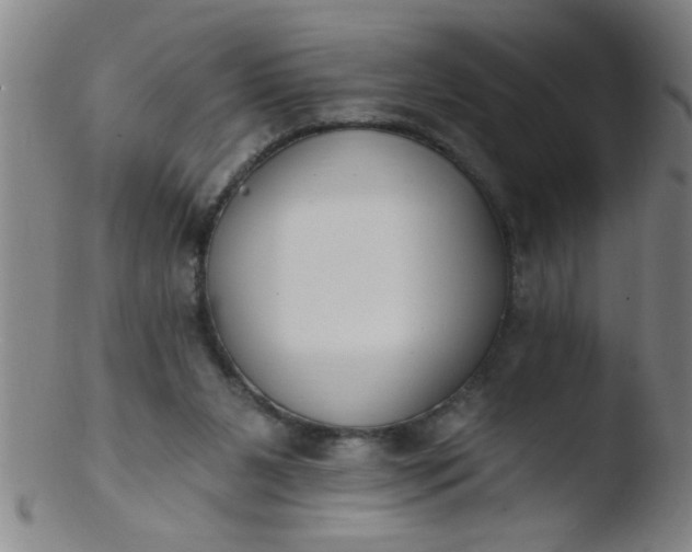 X0000103490111200809261959