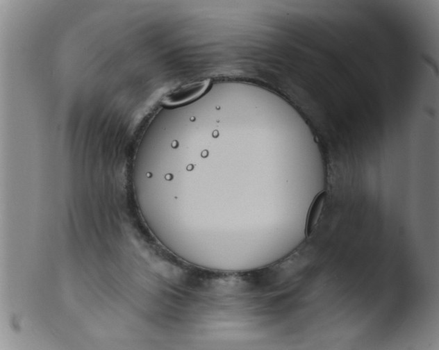 X0000103490112200809261959