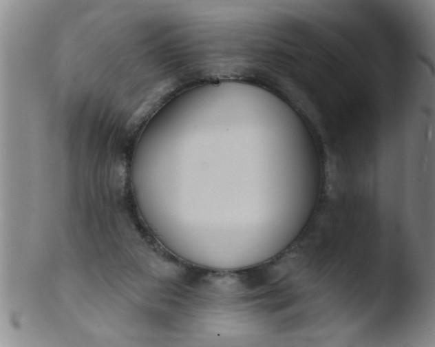 X0000103490113200809261959