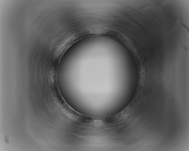 X0000103490114200809261959