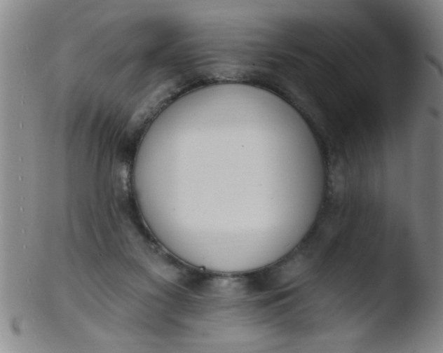 X0000103490117200809261959