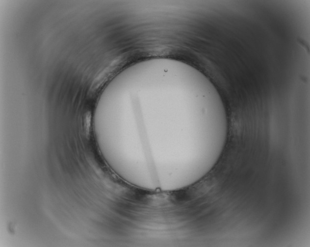 X0000103490118200809261959