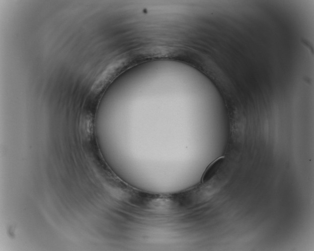 X0000103490119200809261959