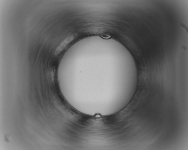 X0000103490120200809261959