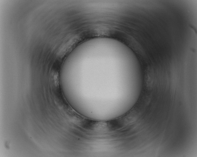 X0000103490123200809261959