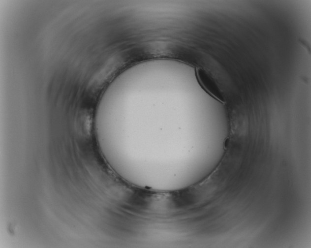 X0000103490124200809261959