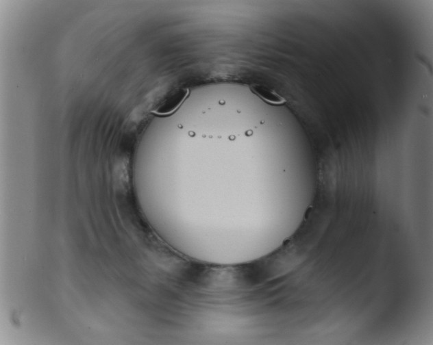 X0000103490127200809261959