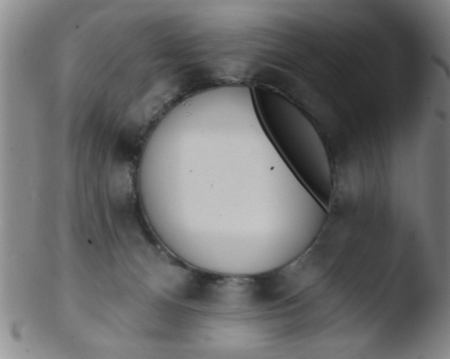 X0000103490128200809261959