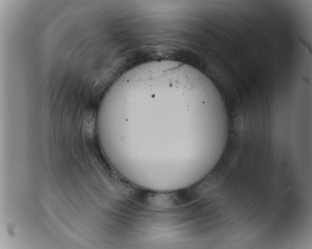 X0000103490129200809261959