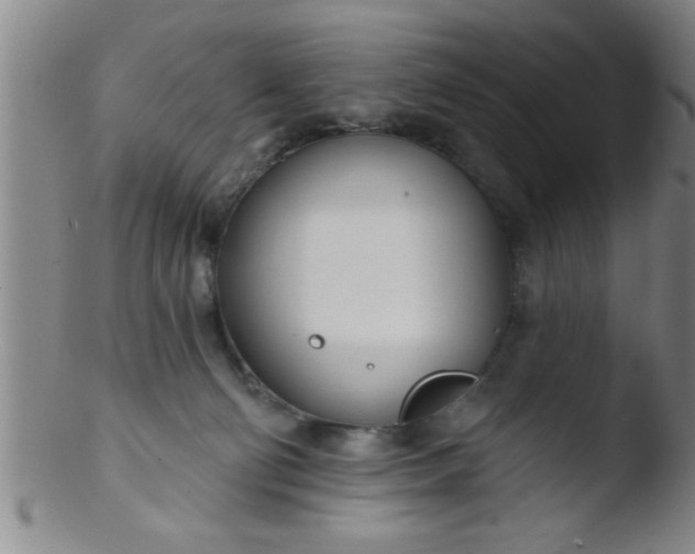 X0000103490130200809261959