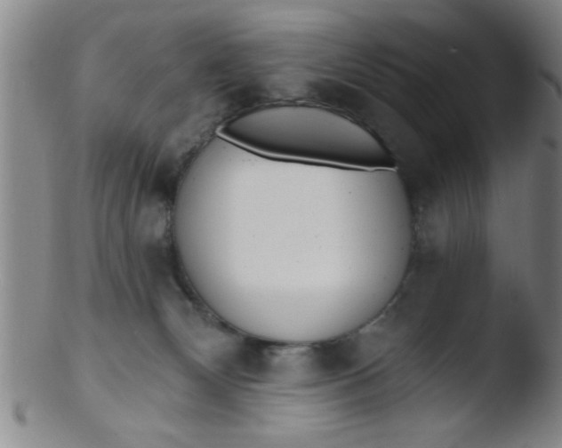 X0000103490132200809261959