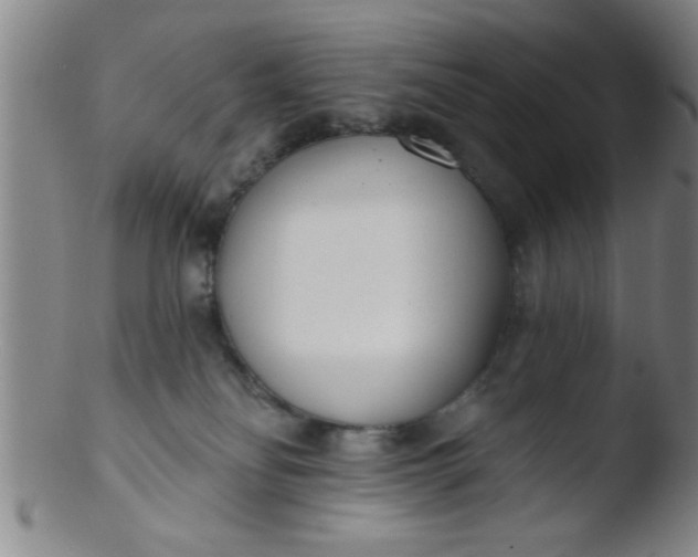 X0000103490134200809261959