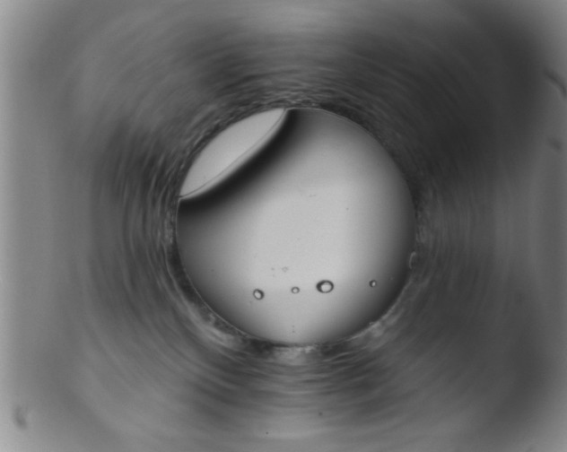 X0000103490136200809261959