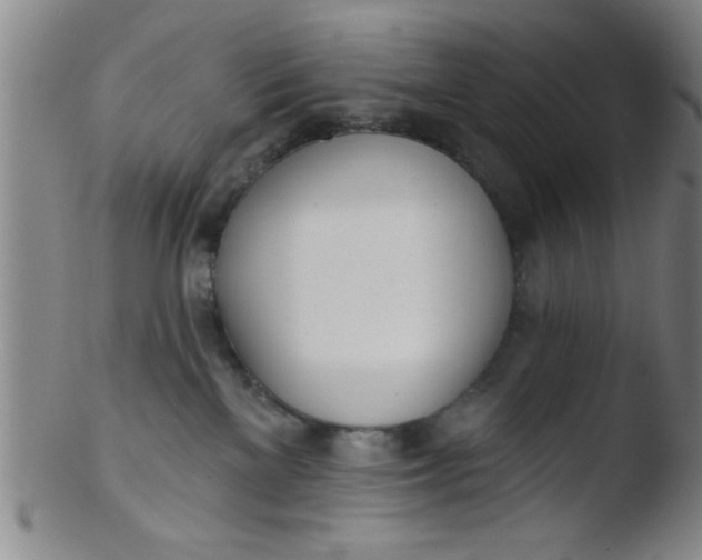 X0000103490137200809261959