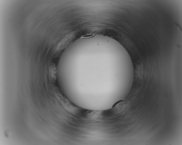 X0000103490138200809261959