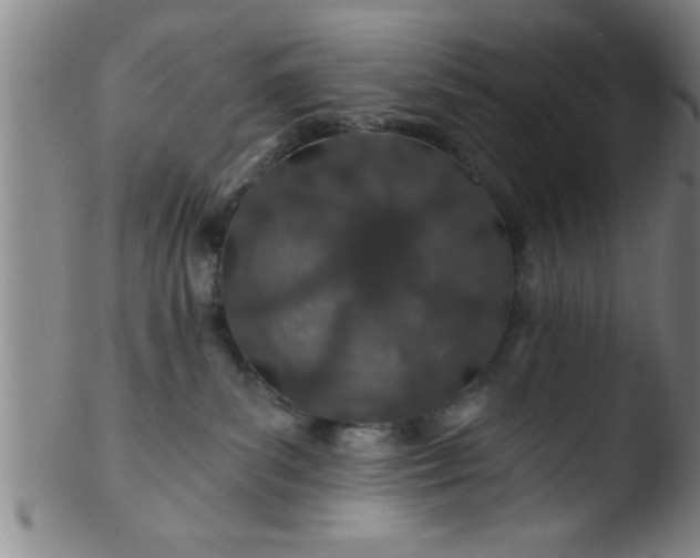 X0000103490139200809261959