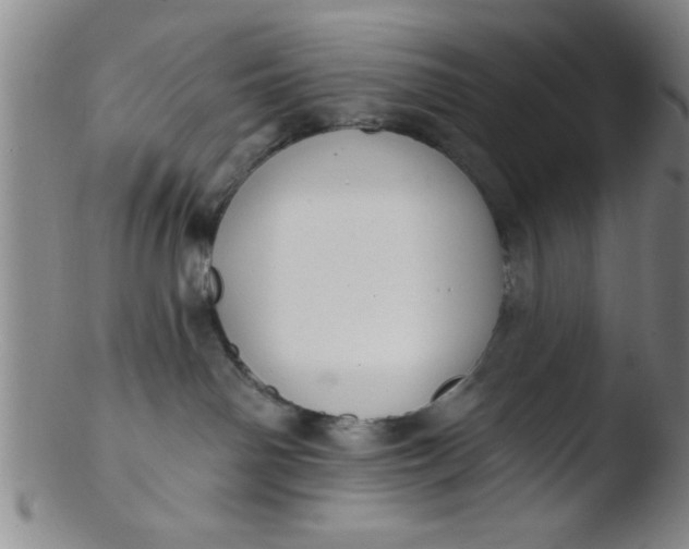 X0000103490142200809261959