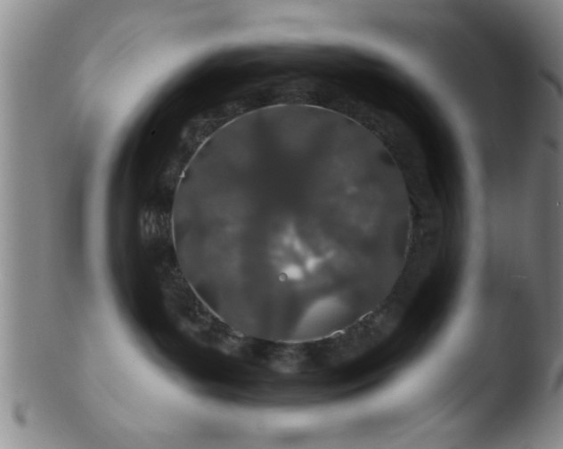 X0000103490143200809261959