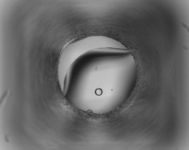 X0000103490144200809261959