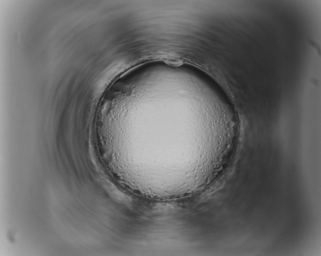 X0000103490145200809261958