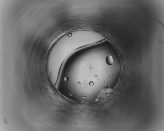 X0000103490146200809261958