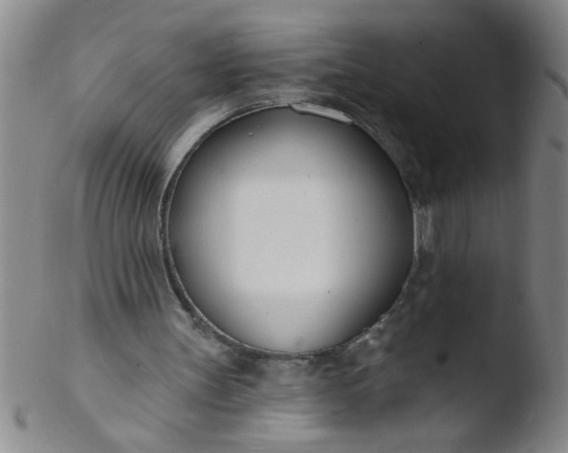 X0000103490147200809261958