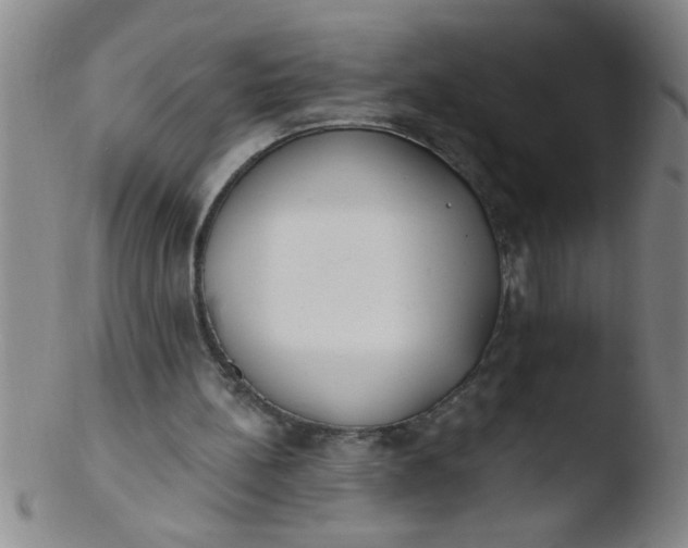 X0000103490148200809261958