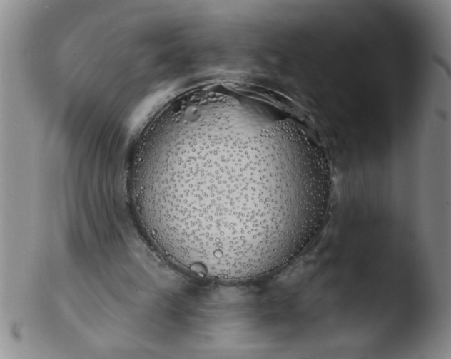 X0000103490149200809261958