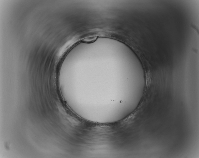 X0000103490150200809261958