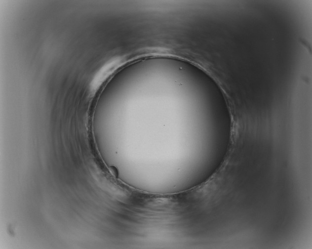 X0000103490151200809261958