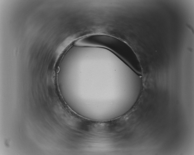 X0000103490152200809261958