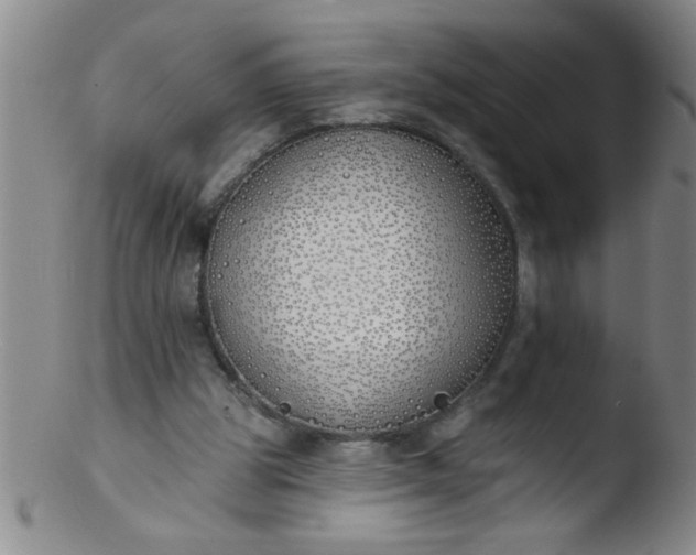 X0000103490153200809261958