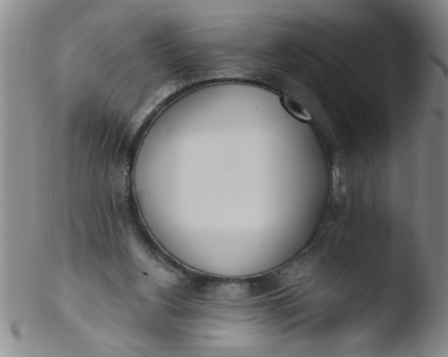 X0000103490156200809261958