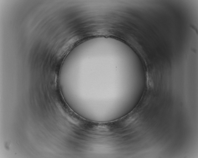 X0000103490157200809261958