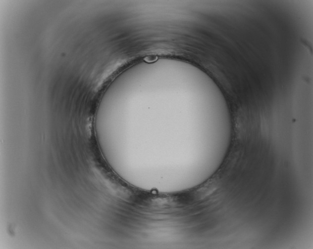 X0000103490160200809261958