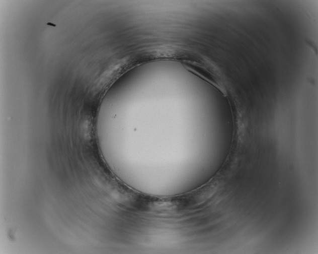 X0000103490161200809261958