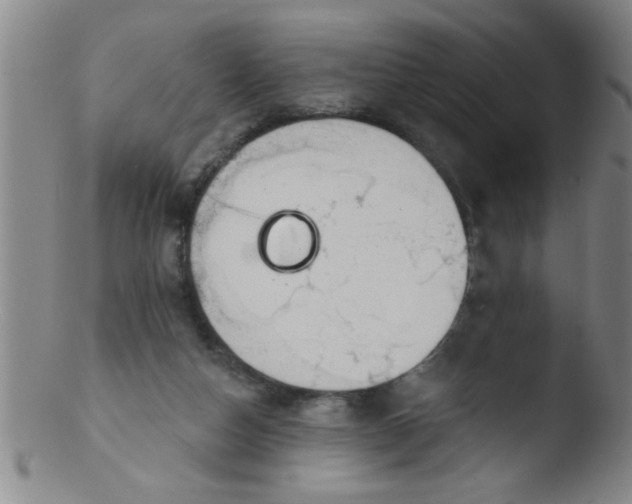 X0000103490162200809261958