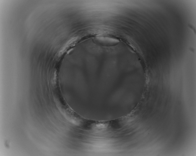 X0000103490163200809261958