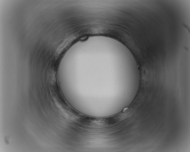 X0000103490164200809261958