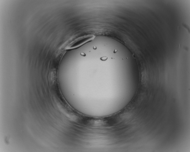 X0000103490165200809261958