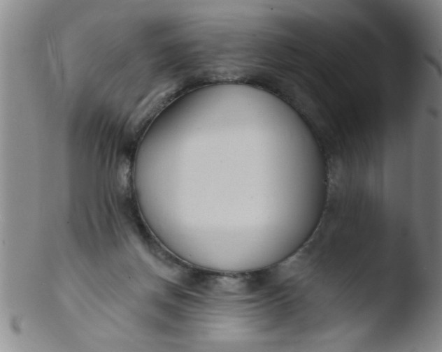 X0000103490166200809261958