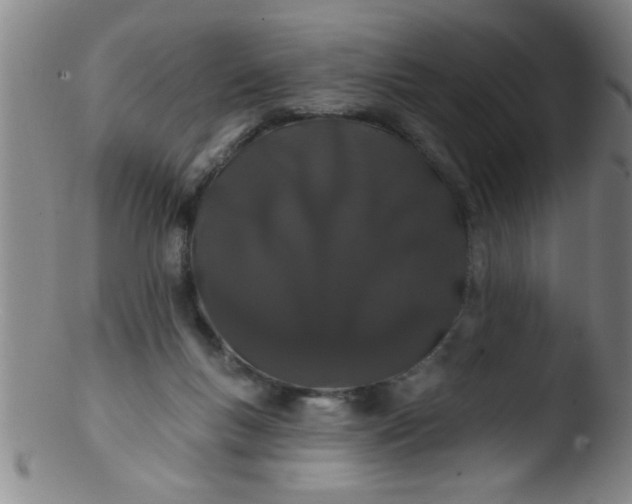 X0000103490167200809261958